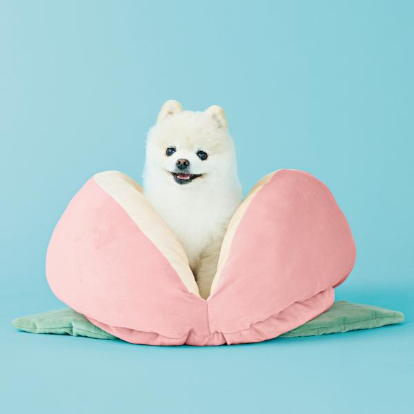 桃太郎もとろけるベッド 桃に座る姿がかわいい♡