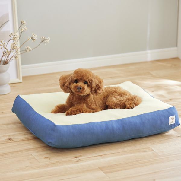 Ｓｉｐｐｏｌｅ　もちふわクッション サックス