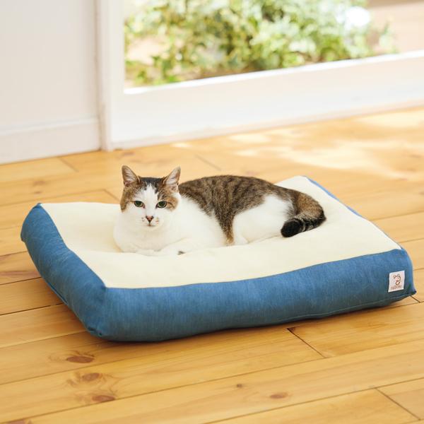 Ｓｉｐｐｏｌｅ　もちふわクッション サックス