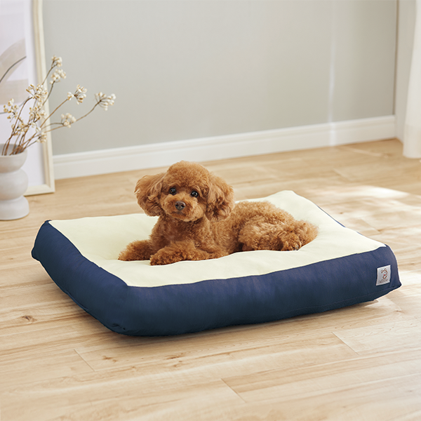 Ｓｉｐｐｏｌｅ　もちふわクッション インディゴ