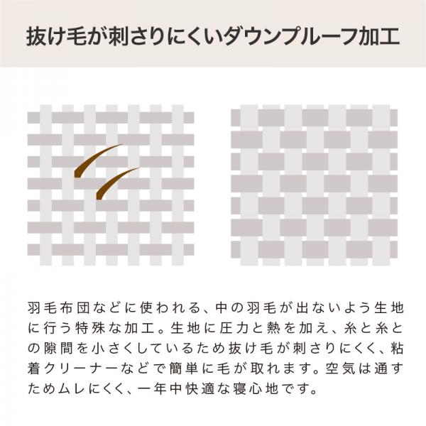 洗える　もぐりお布団クッション 