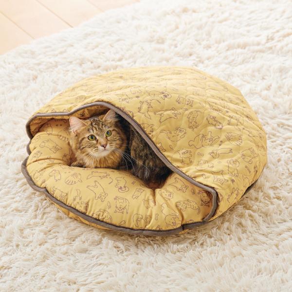 洗える　もぐりお布団クッション マロン／モデル体重：3.1kg