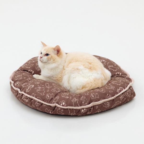 洗える　もぐりお布団クッション チョコ／モデル体重：4.1kg　ひっくり返すと座布団として使えます
