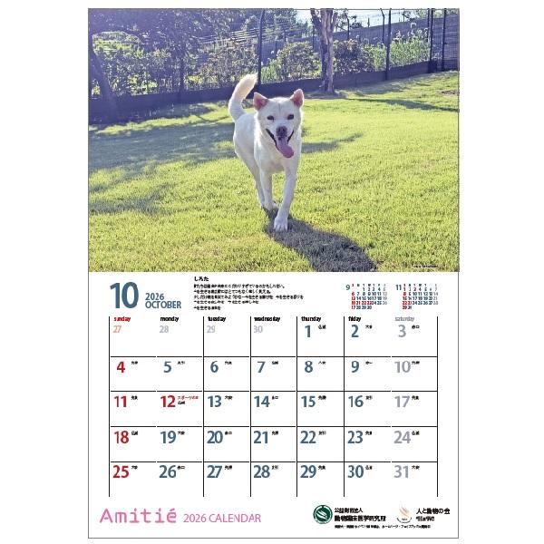 アミティエカレンダー２０２６ 10月
