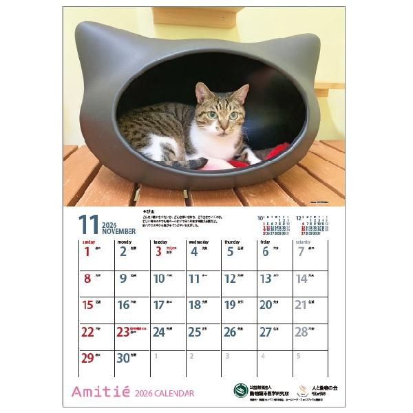 アミティエカレンダー２０２６ 11月