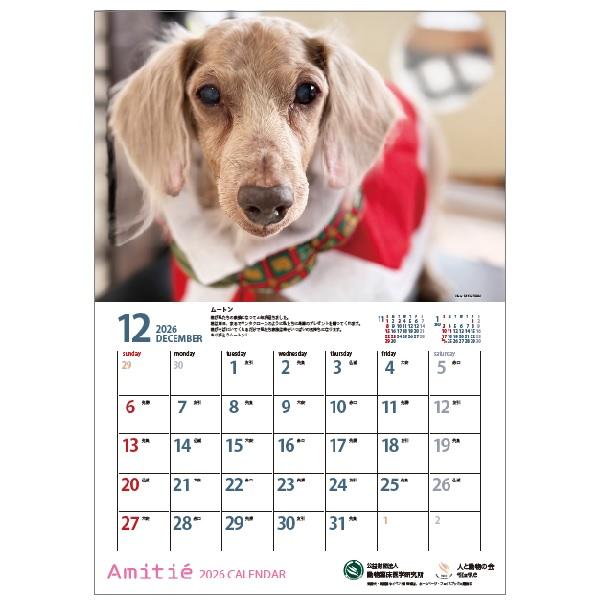 アミティエカレンダー２０２６ 12月