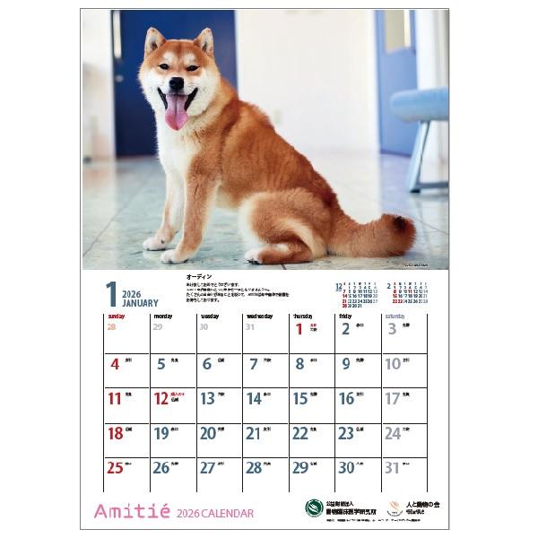 アミティエカレンダー２０２６ 1月
