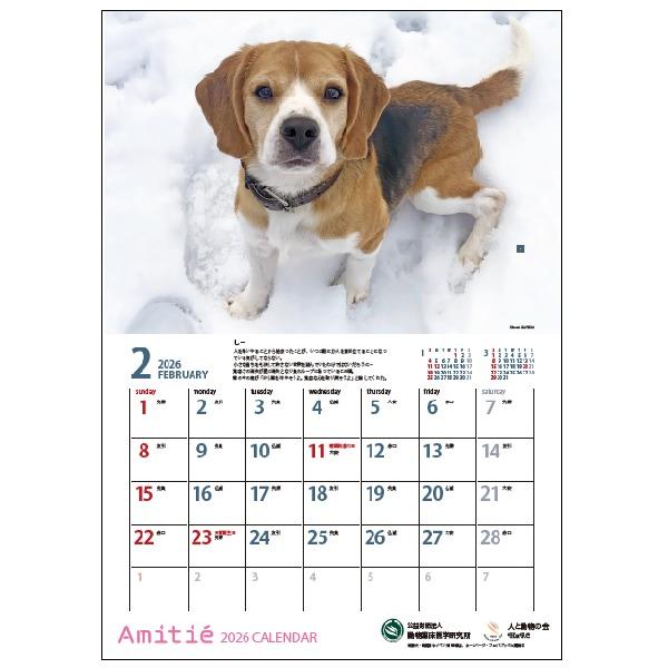 アミティエカレンダー２０２６ 2月