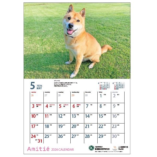アミティエカレンダー２０２６ 5月