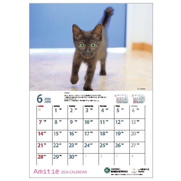アミティエカレンダー２０２６ 6月
