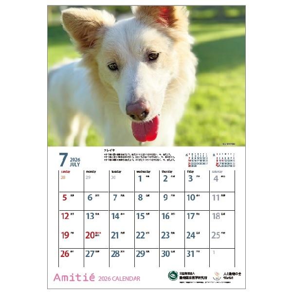 アミティエカレンダー２０２６ 7月