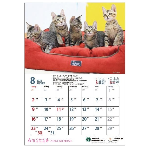 アミティエカレンダー２０２６ 8月