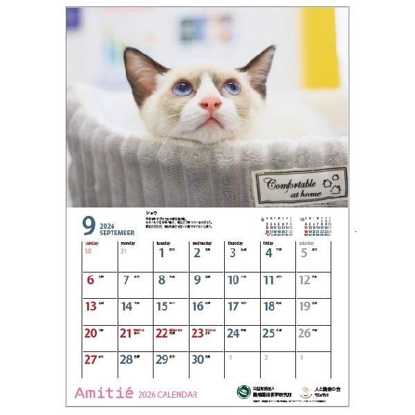 アミティエカレンダー２０２６ 9月