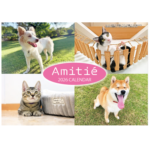 アミティエカレンダー２０２６ 