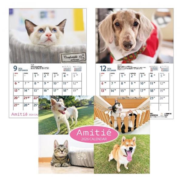 アミティエカレンダー２０２６ 