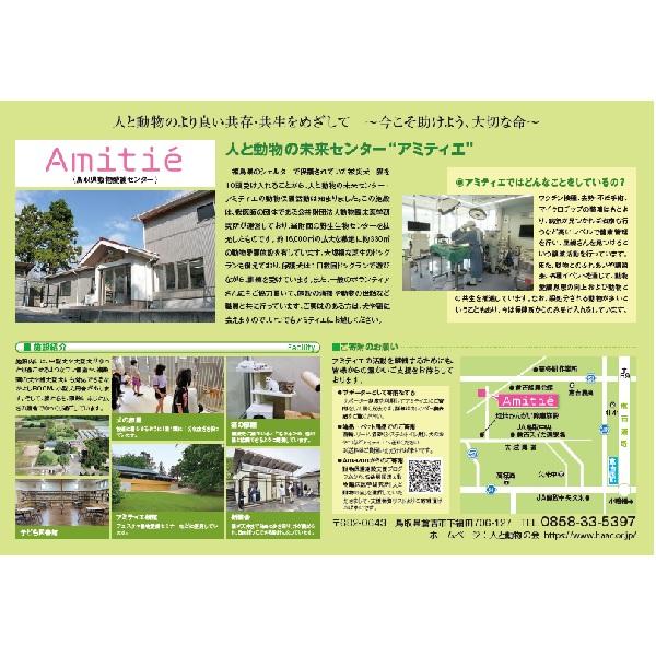 アミティエカレンダー２０２６ 