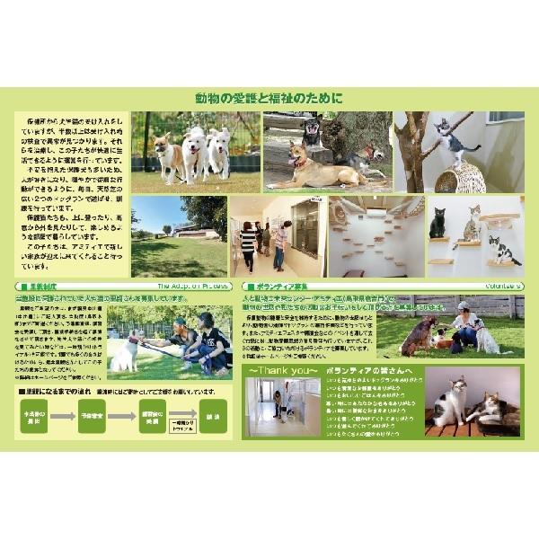 アミティエカレンダー２０２６ 