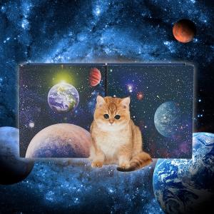 月刊ムーコラボ 宇宙猫製造BOX｜ 猫用おもちゃ｜ ペット用品の通販