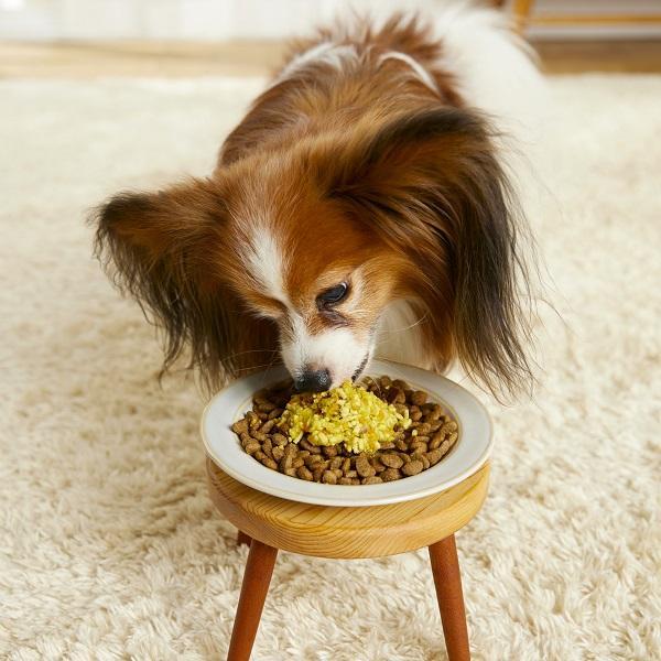 わんごはんのおとも　フリーズドライ 