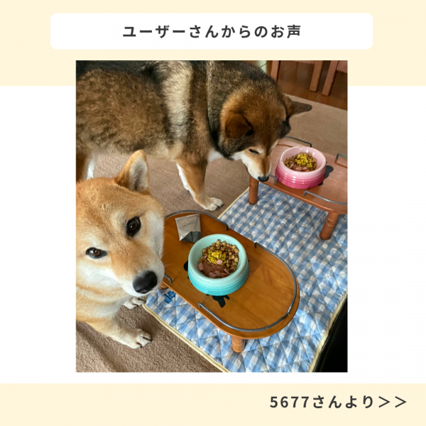 わんごはんのおとも　フリーズドライ 