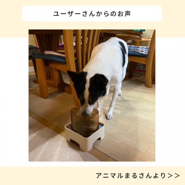 わんごはんのおとも　フリーズドライ 