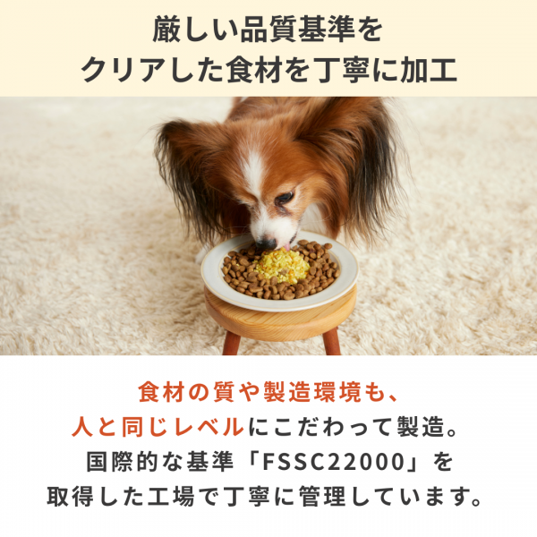 わんごはんのおとも　フリーズドライ 