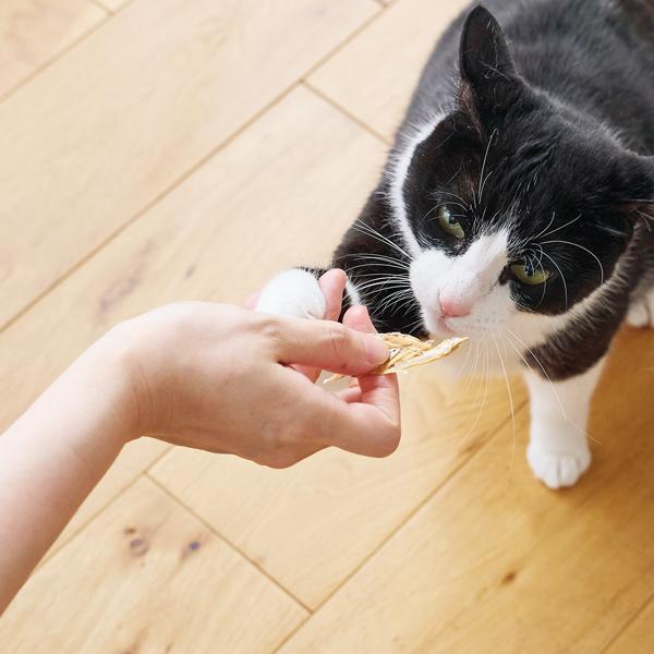 静岡産　しらすせんべい（PEPPY LIFE猫おやつシリーズ） 