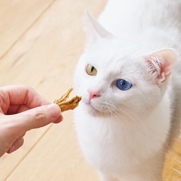 静岡産　しらすせんべい（PEPPY LIFE猫おやつシリーズ） 