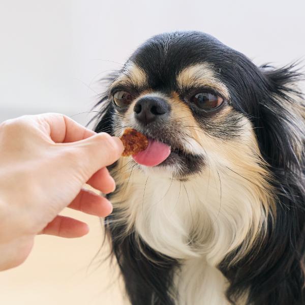 静岡産カツオチップ（PEPPY　LIFE犬おやつシリーズ） 