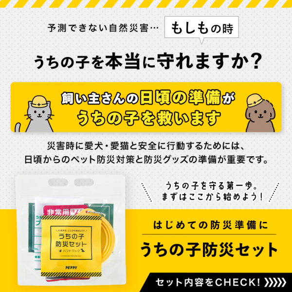 うちの子防災セット 