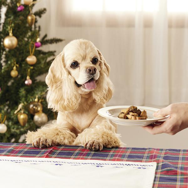 静岡産スモークかつおキューブ（PEPPYLIFE 犬おやつシリーズ） 