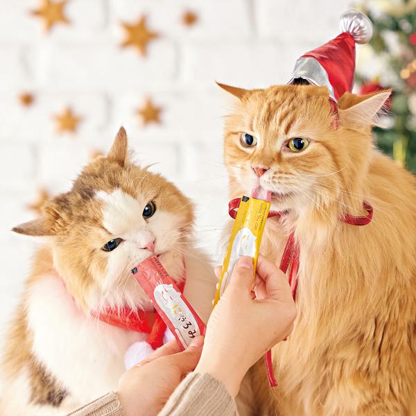 にゃろみ年末年始限定セット みんなでにゃろみパーティ♪　※帽子は商品についてきません。