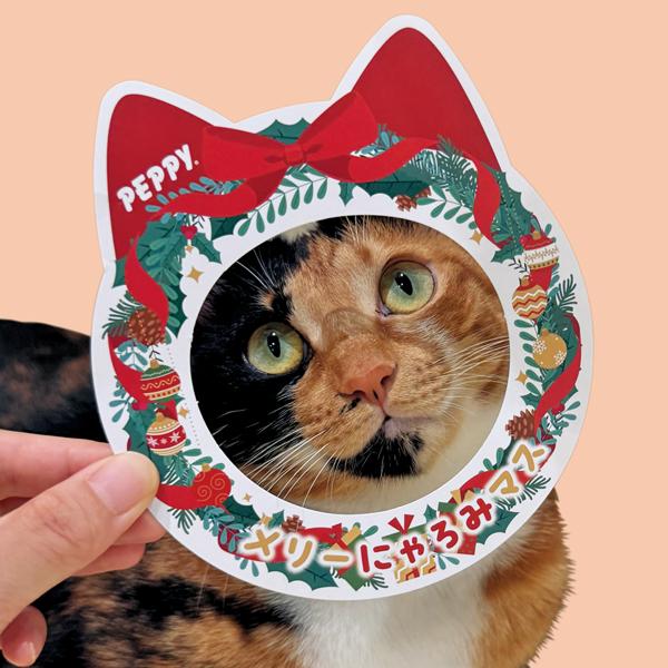 にゃろみ年末年始限定セット 表面・クリスマス柄