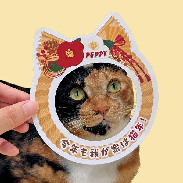 にゃろみ年末年始限定セット 裏面・お正月柄