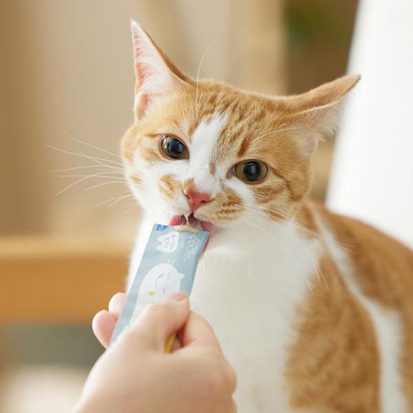 【にゃろみの日記念】送料無料 にゃろみＬ８０２０ 