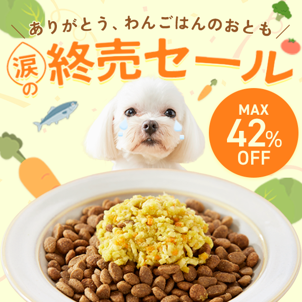 わんごはんのおともフリーズドライ 訳あり品 