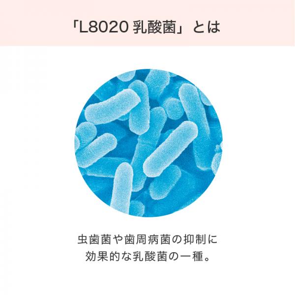 毎日カミカミ　おくちと体の健康スティック 