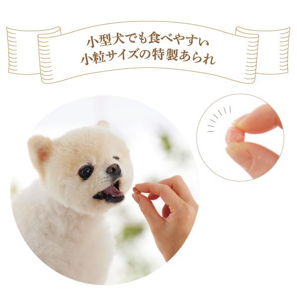 【限定セール】新潟もち米あられ　ころん訳あり品 小型犬でも割る手間なく 食べやすいように、直径 約１cmの小さなサイズ に焼き上げました。 おやつの与えすぎが心配な 子や、ちょっとしたご褒美にもおすすめです。