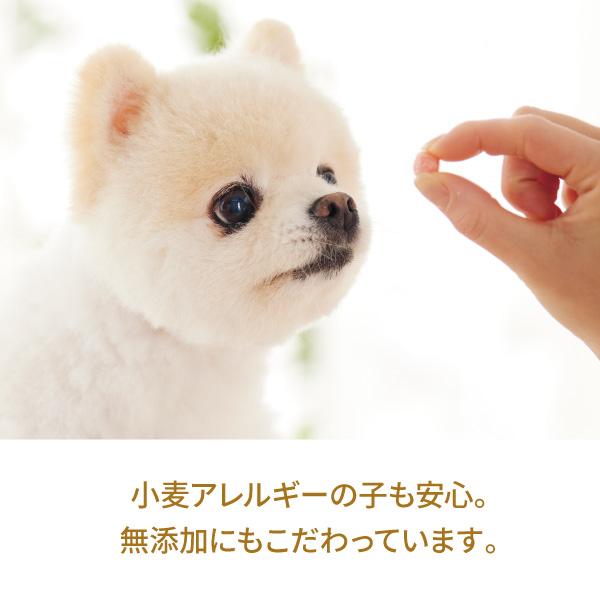 【限定セール】新潟もち米あられ　ころん訳あり品 原材料はもち米で、小麦粉不使用。小麦を避けたい子も安心して食べられます。また着色料・保存料・香料は一切使用していません。