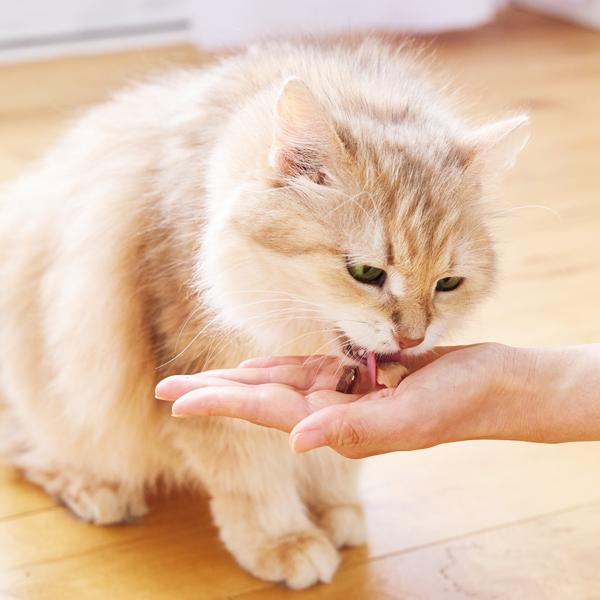 【募金付き】素材のまんまおやつ猫シリーズ お試しセット（旧：PEPPYLIFEおやつ スモークかつおキューブ