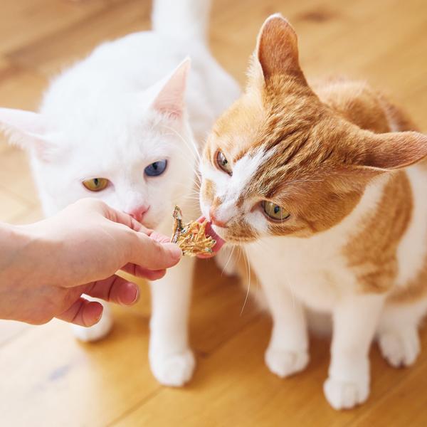 【募金付き】素材のまんまおやつ猫シリーズ お試しセット（旧：PEPPYLIFEおやつ しらすせんべい