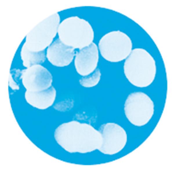 【募金付き】ＰＥＰＰＹ　ＬＩＦＥ　にゃろみ（無添加 国産) お腹に優しい乳酸菌を配合。