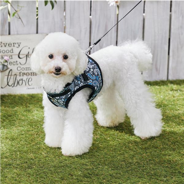 ペイズリーハーネス ブラック　※リードは付属していません。