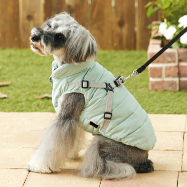 コットンタッチハーネスジャンパー ミント　※リードは別売です