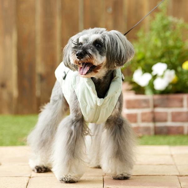 コットンタッチハーネスジャンパー ミント