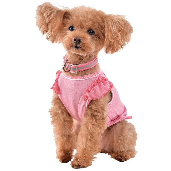 【WHCY（ウォームハートカンパニー）】ストロングクールフリルＴ ピンク／バスト36のサイズを着用／モデルサイズ：バスト33cm／※首輪は付属していません。