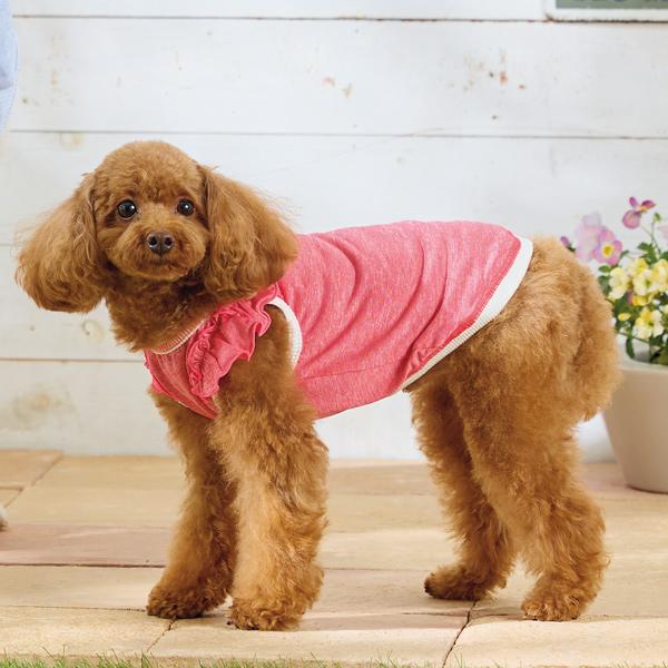 【WHCY（ウォームハートカンパニー）】ストロングクールフリルＴ ピンク / SSサイズ着用（モデルサイズ：バスト38cm）