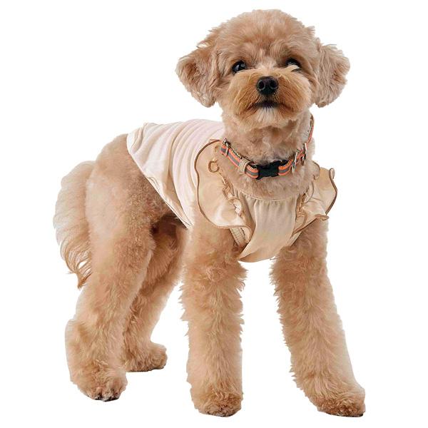 【WHCY（ウォームハートカンパニー）】ストロングクールフリルＴ バニラ／バスト39のサイズを着用／モデルサイズ：バスト35cm