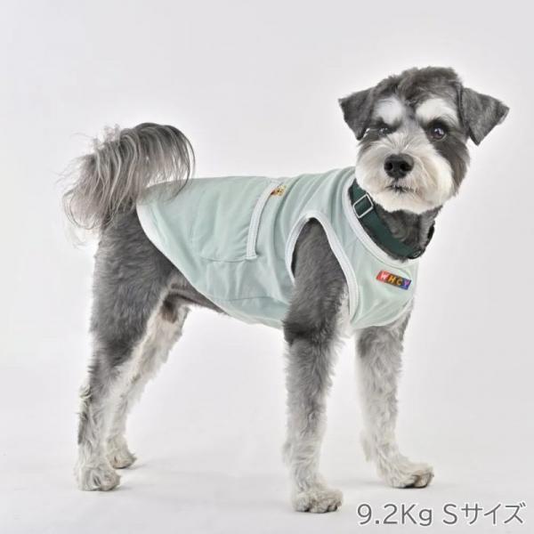 【WHCY　ウォームハートカンパニー】ＷＡＳＨＩ天竺プルオーバ－ ワカバ