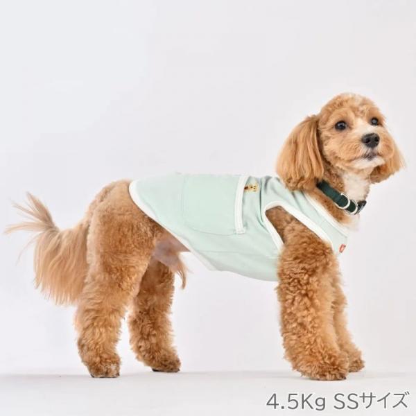 【WHCY　ウォームハートカンパニー】ＷＡＳＨＩ天竺プルオーバ－ ワカバ